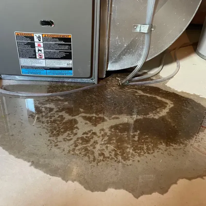 Appliance Leak Cleanup in Anahuac, TX